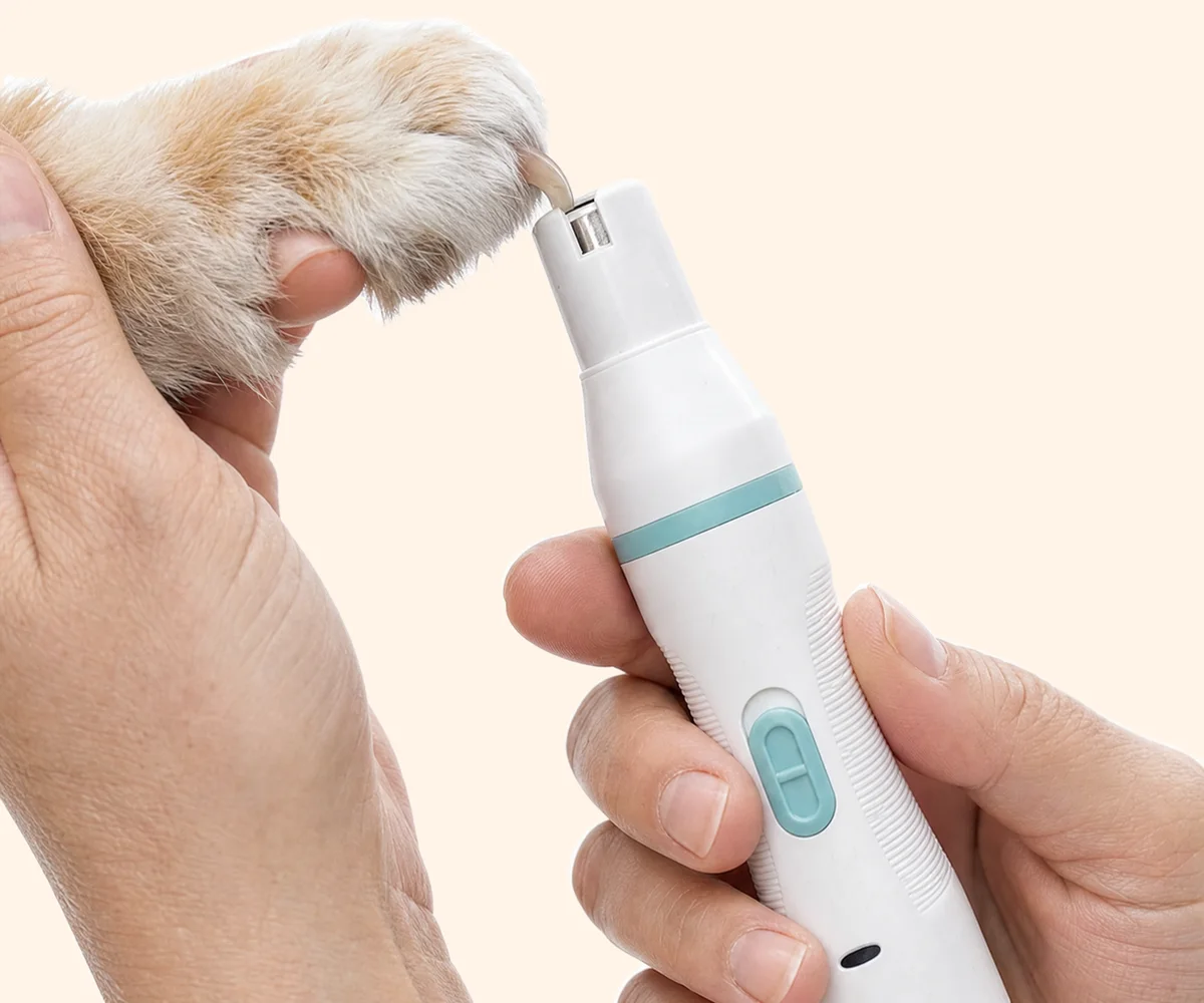 Pawzaw nail grinder being used on a cat's claw